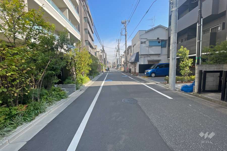 敷地南側の前面道路（西側から）