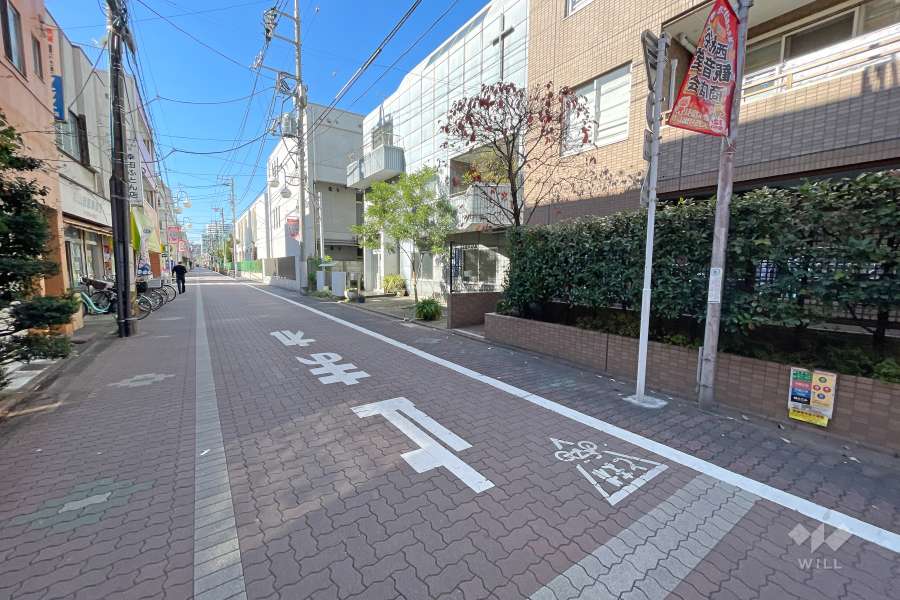 敷地南側の前面道路