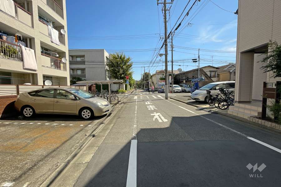 敷地南側の前面道路（西側から）
