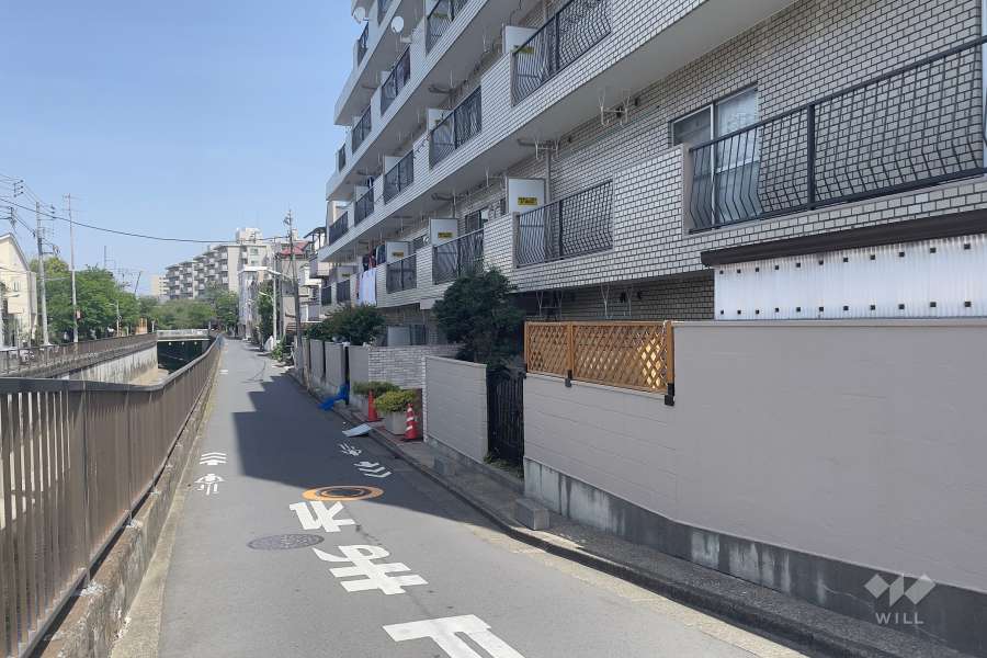 敷地西側の前面道路（南側から）