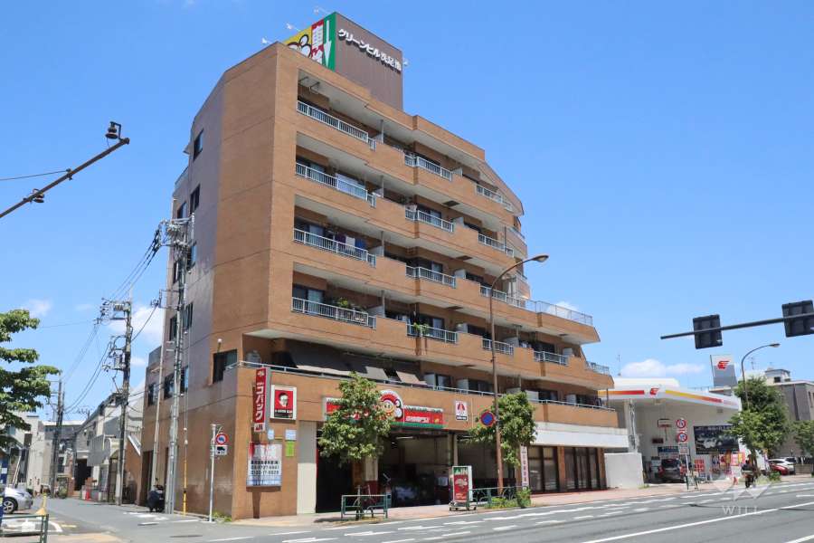 グリーンヒル洗足池の外観（南側から）