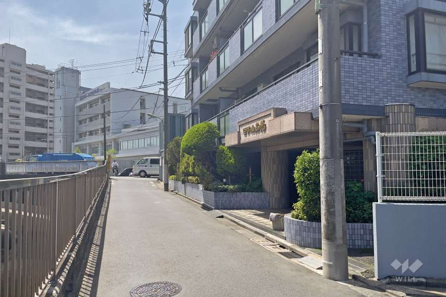 敷地東側の前面道路（北側から）