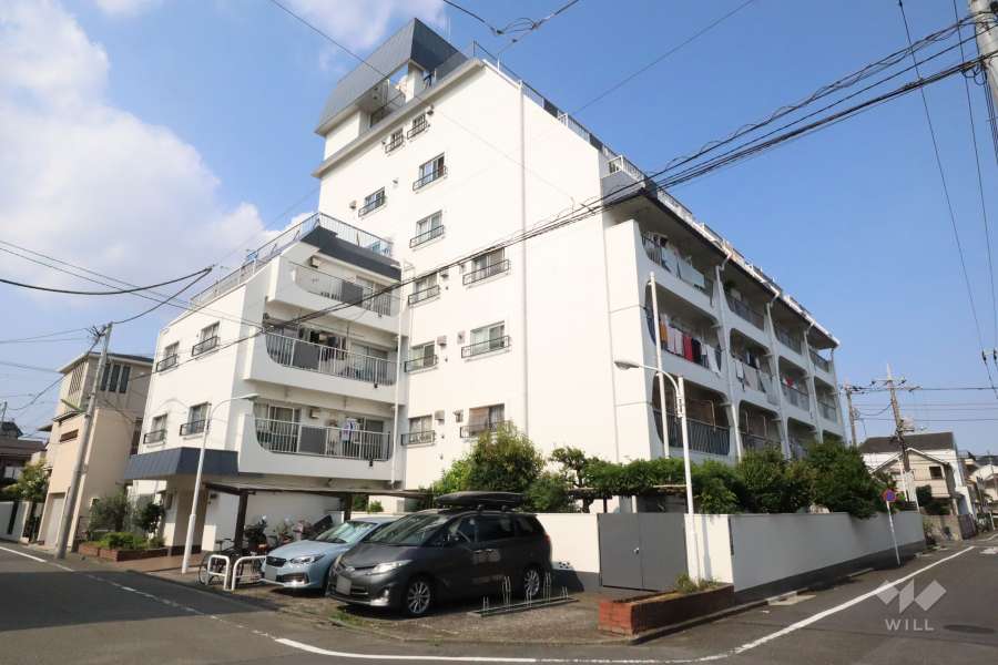 石川台ハイツの外観(南西側から)