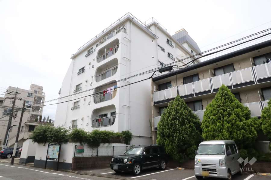 石川台ハイツの外観(北東側から)