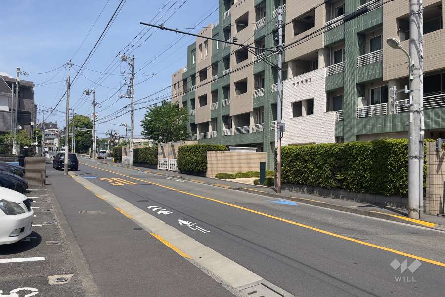 敷地南西側の前面道路（南東側から）