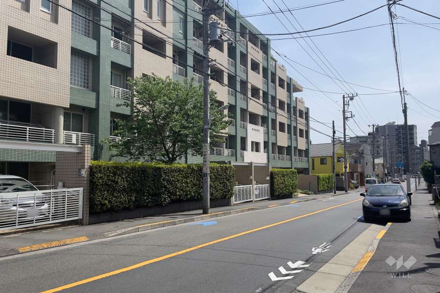 敷地南西側の前面道路（北西側から）