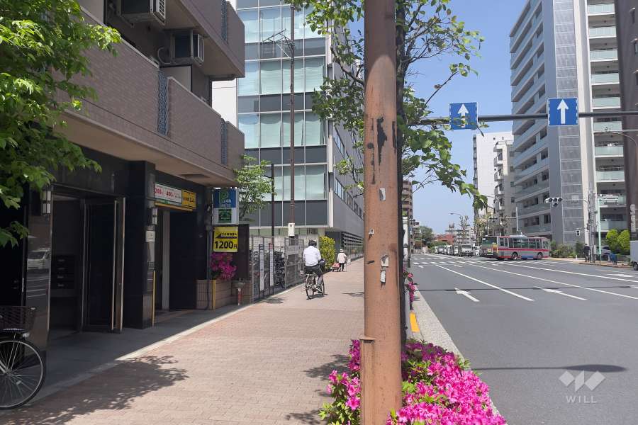 敷地東側の前面道路（南側から）