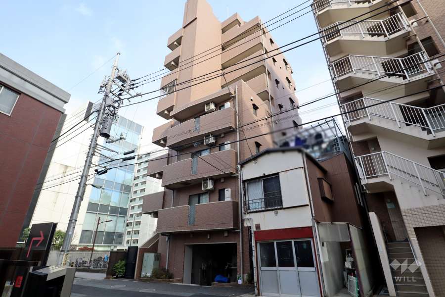 エクシム雪谷大塚の外観（南西側から）
