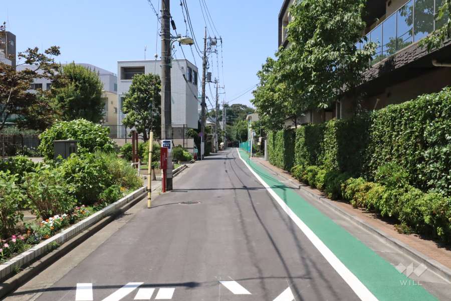 敷地南西側の前面道路(南東側から)