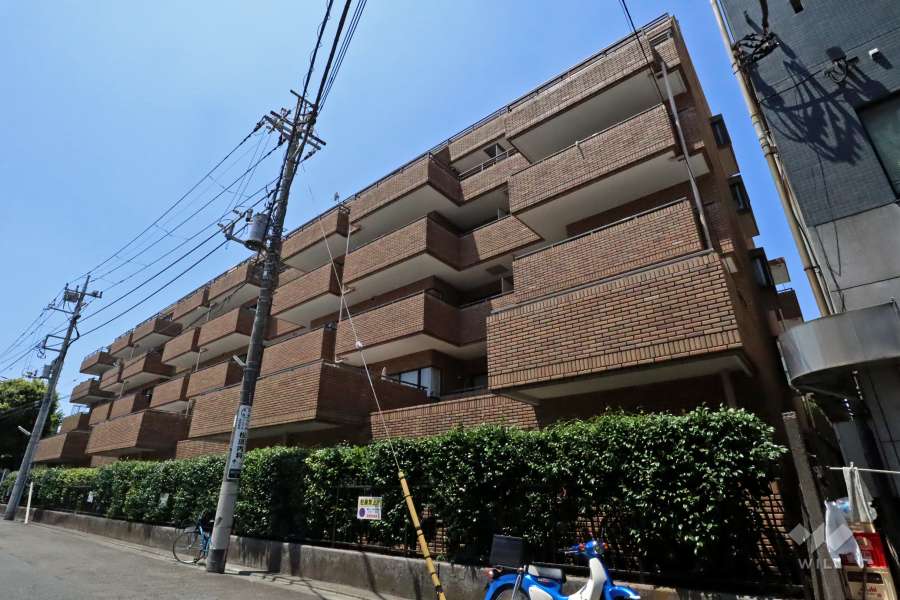 スターロワイヤル雪谷の外観（南東側から）