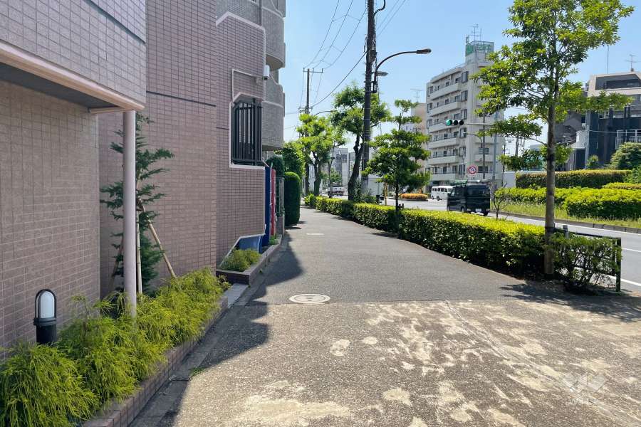 敷地南西側の前面道路