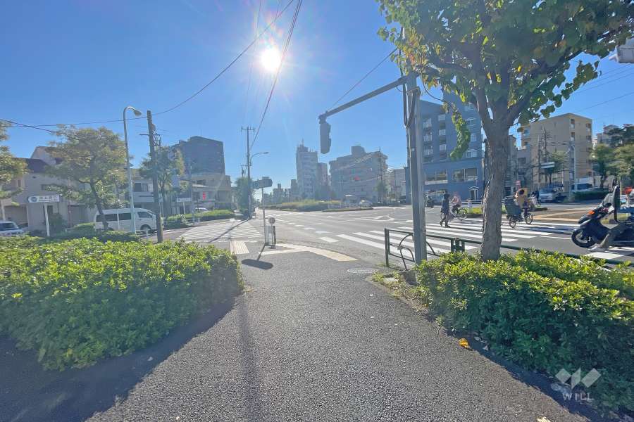 敷地南西側の前面道路（北西側から）