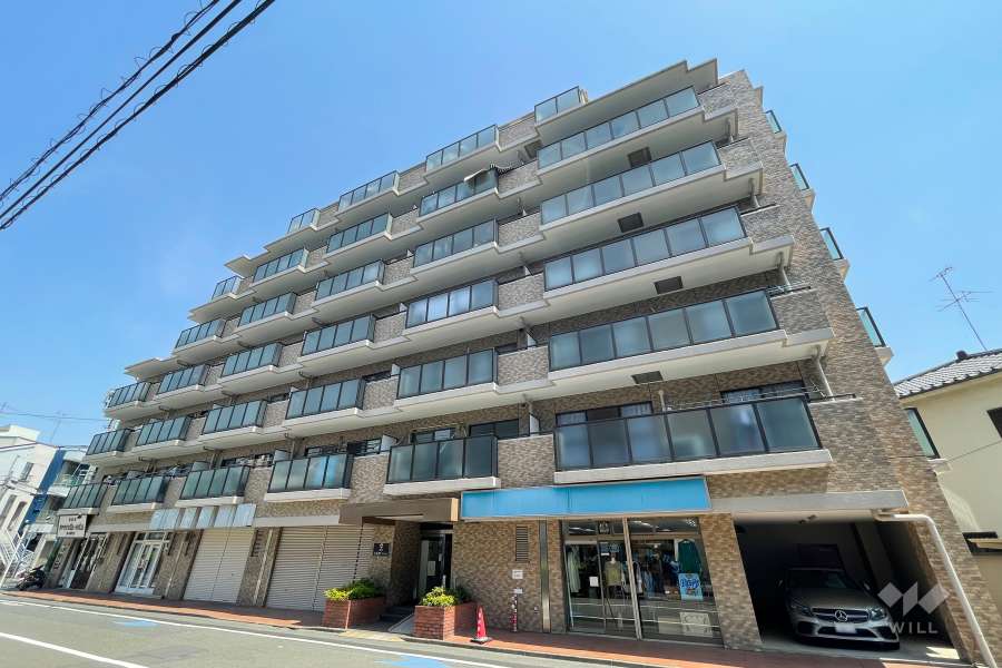 朝日千鳥町マンションの外観（南側から）