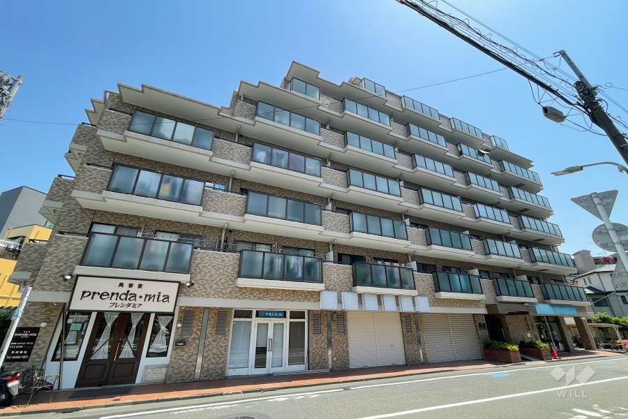 朝日千鳥町マンションの外観（西側から）