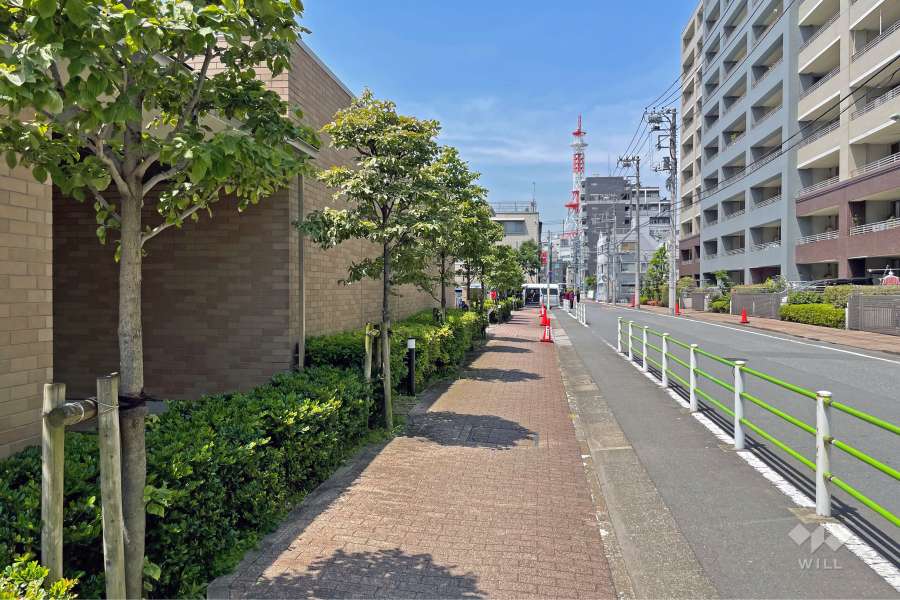 敷地南側前面道路