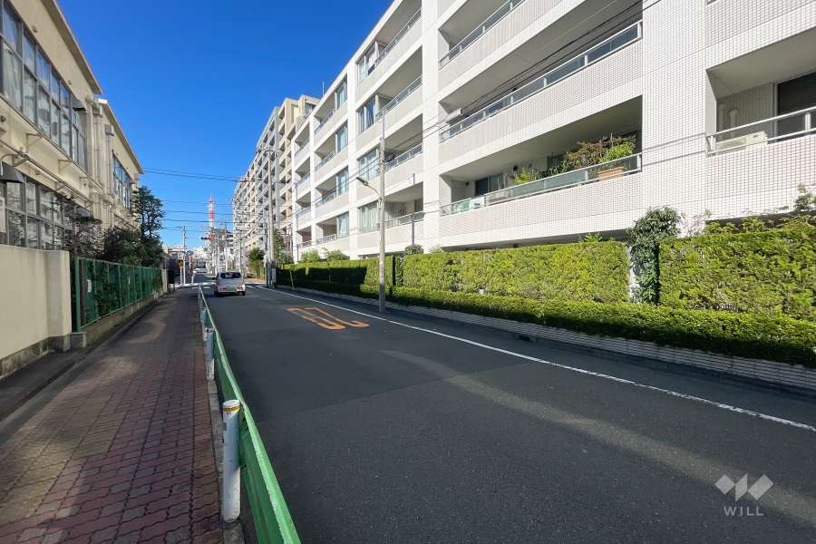 敷地南側の前面道路（東側から）