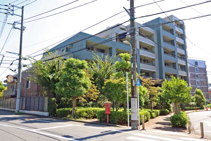 ディー・トリアフォレストハウスの外観(北西側から)