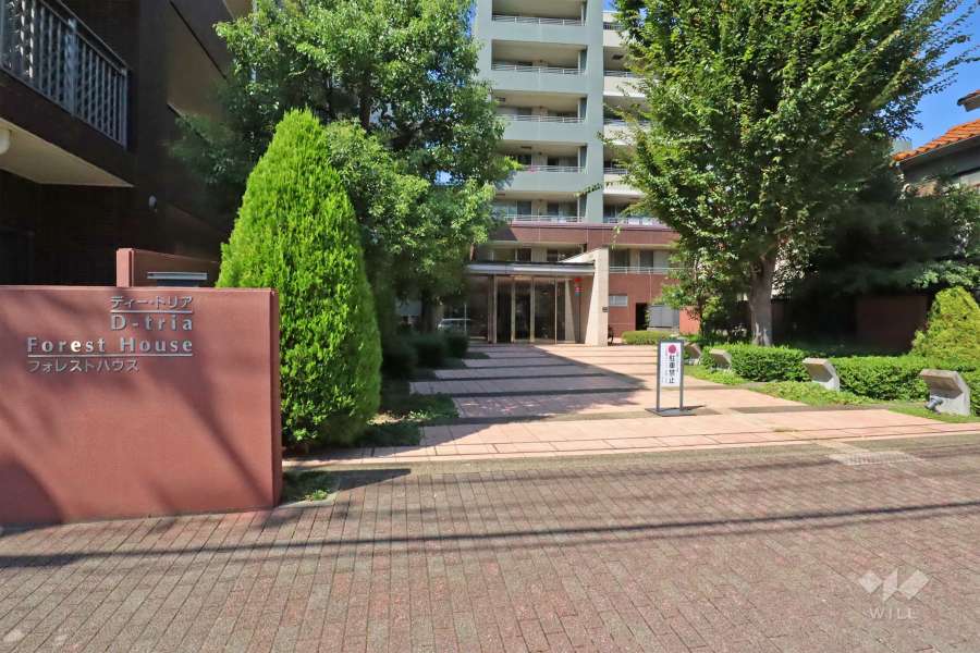 エントランスアプローチ