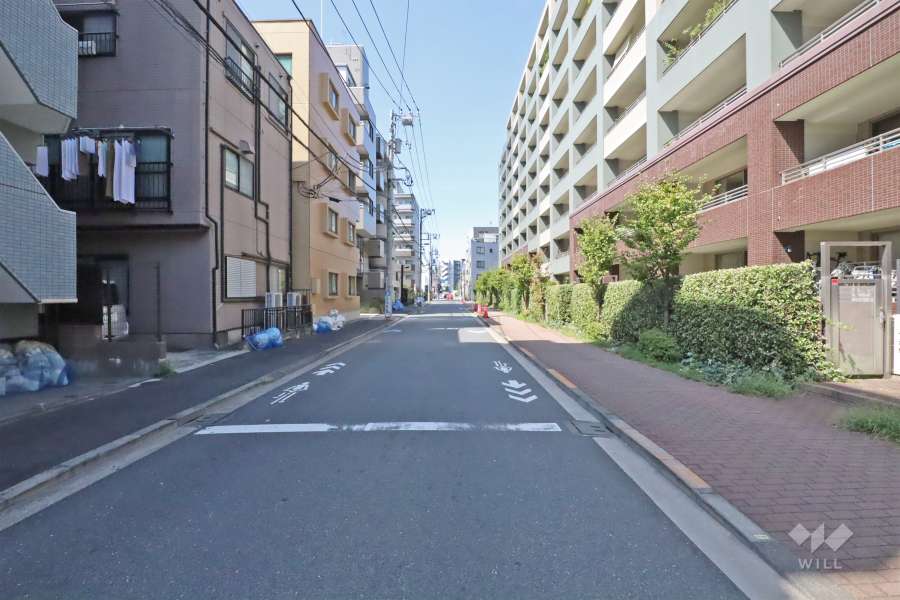 敷地南側の前面道路(東側から)