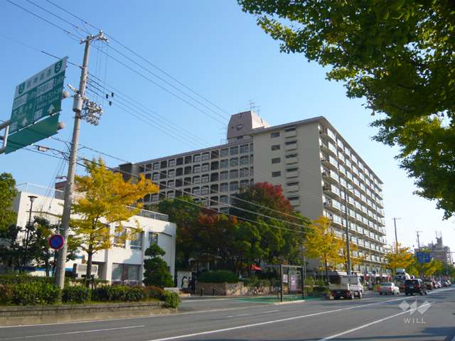 敷地の西側の前面道路。前面道路は4車線のバス通り（札場筋線）に面しています。