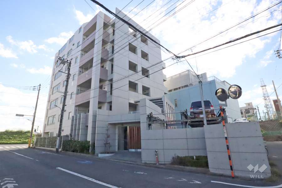グランベルミューネス多摩川の外観(北東側から)