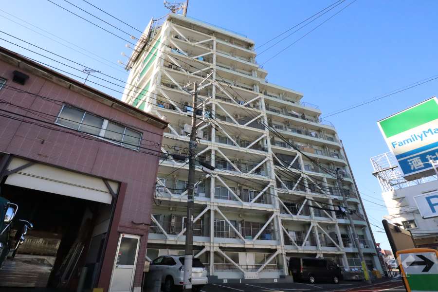 多摩川フラワーマンションの外観(南東側から)