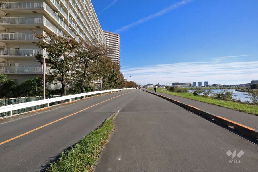 敷地南西側の前面道路（北西側から）
