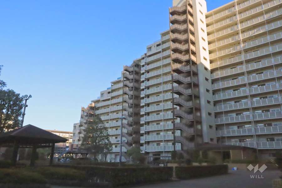 多摩川芙蓉ハイツ4号棟の外観（南側から）