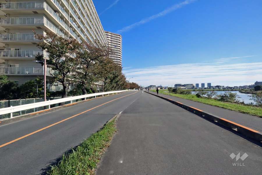 敷地南西側の前面道路は多摩川河川敷沿いにあります（北西側から）。