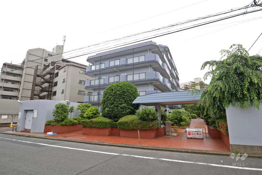 新多摩川スカイハイツの外観（北東側から）