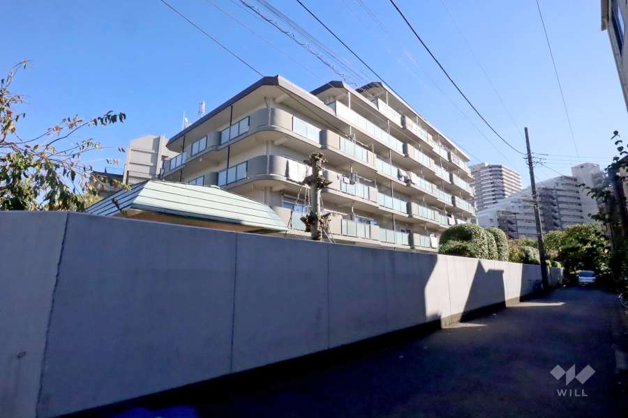 新多摩川スカイハイツの外観（北西側から）