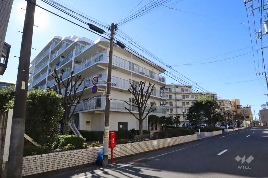 多摩川ビューハイツの外観（北東側から）