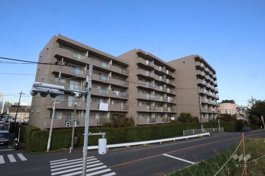 多摩川南パークハウスの外観(南西側から)