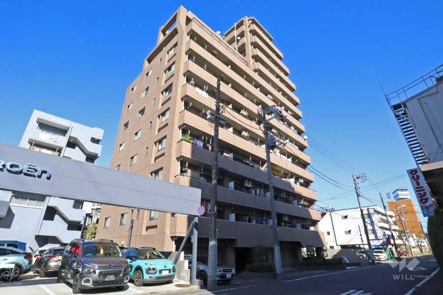 グランイーグル多摩川３の外観(南西側から)