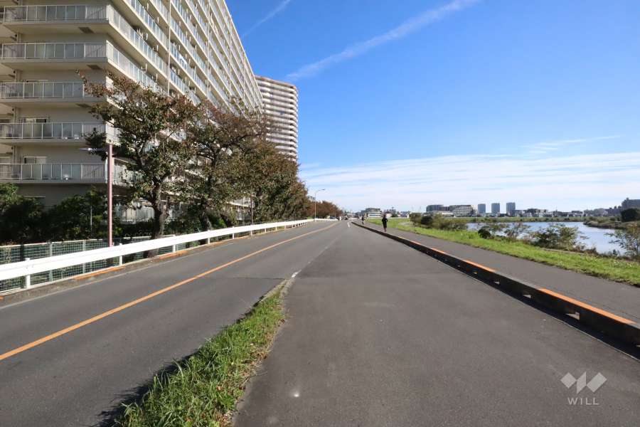 敷地南西側の前面道路(北西側から)