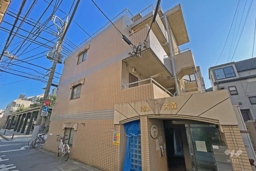 エルヴィーナ大森の外観（北西側から）