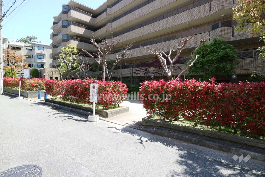 敷地に隣接する広場