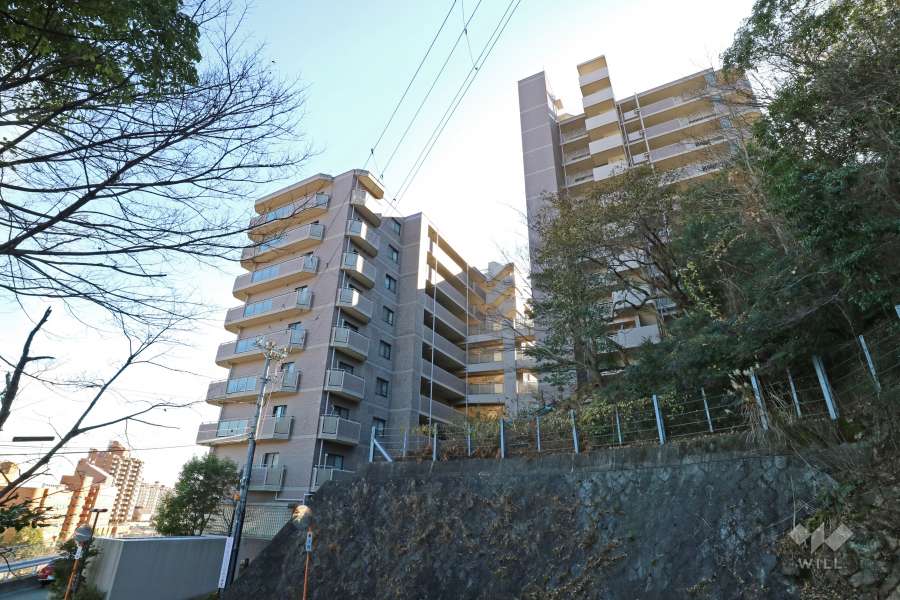 デ・リード宝塚リバービューの外観（北側から）