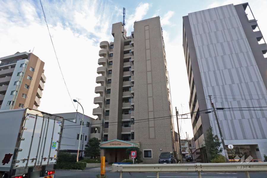 エンゼルピュア大森の外観(北西側から)