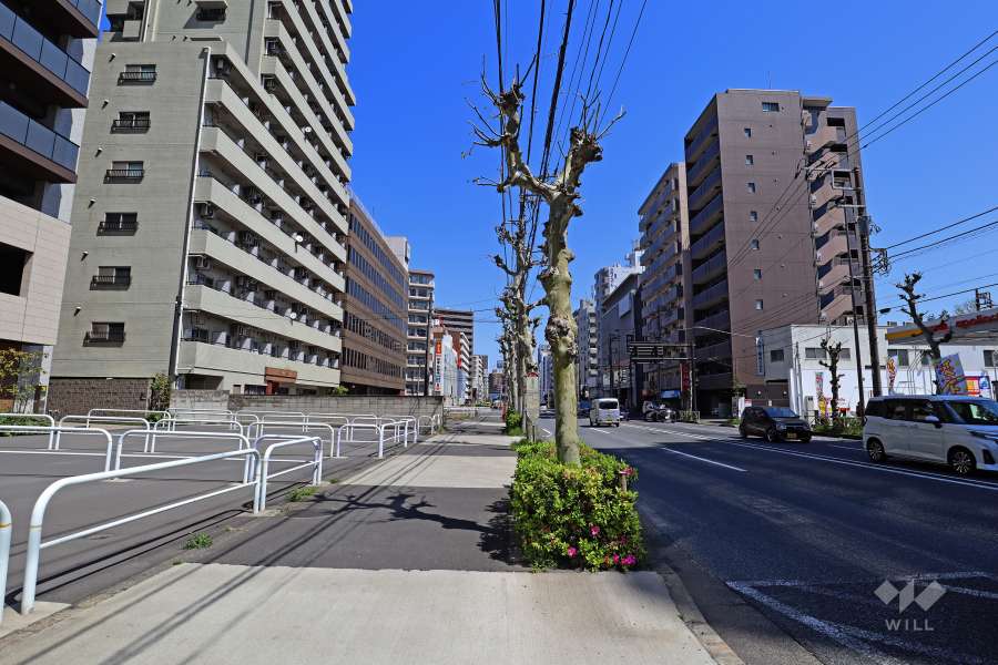 敷地南東側の前面道路(南西側から)