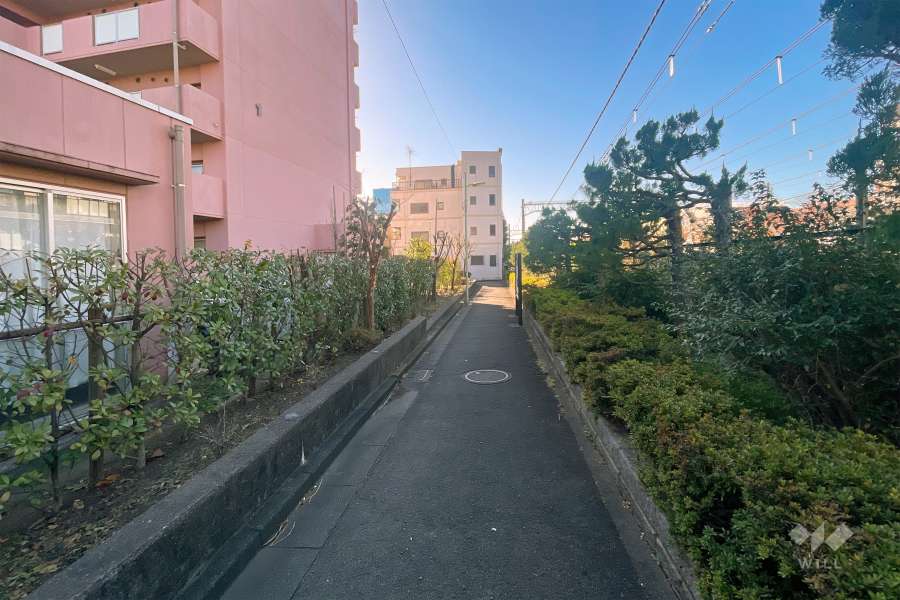 敷地西側の前面道路（北側から）