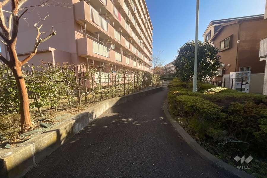 敷地南側の前面道路（西側から）