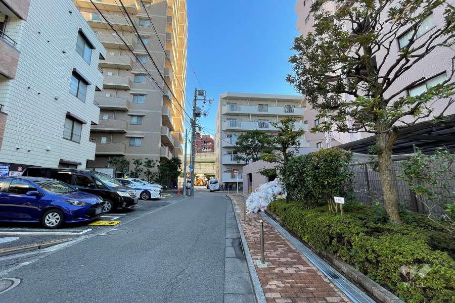 敷地北側の前面道路（西側から）