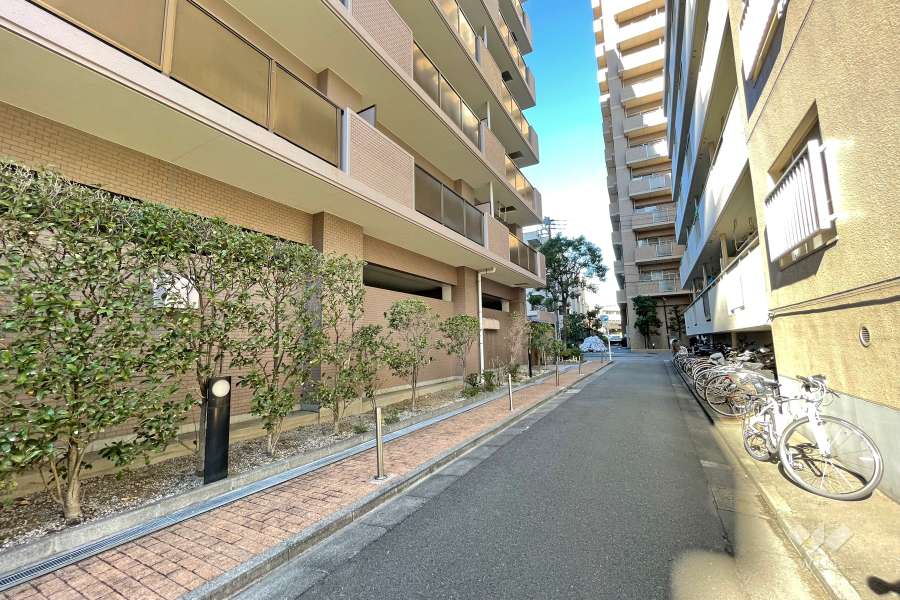 敷地東側の前面道路（南側から）