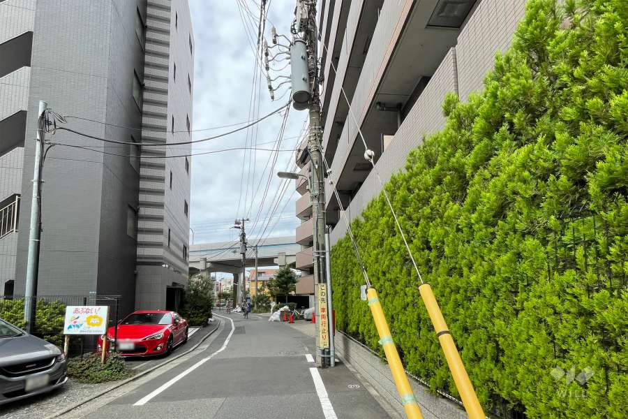 敷地南側の前面道路