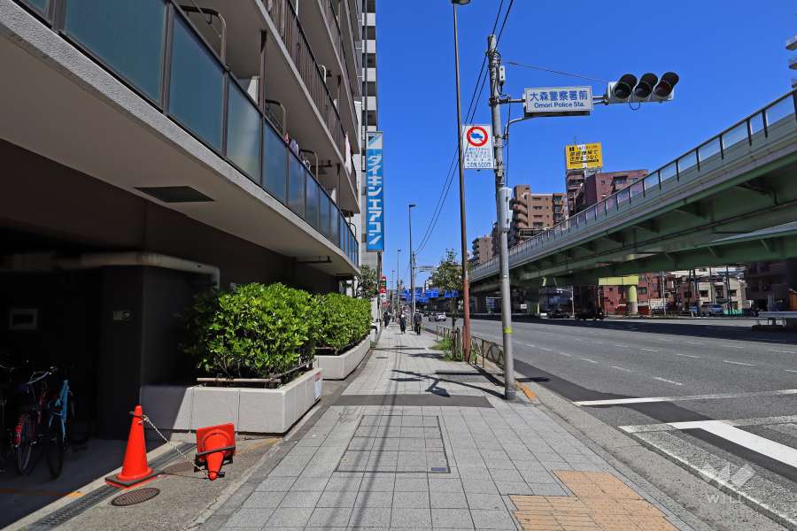 敷地東側の前面道路(南側から)