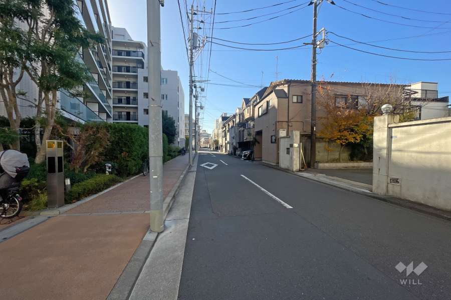敷地西側の前面道路（北側から）