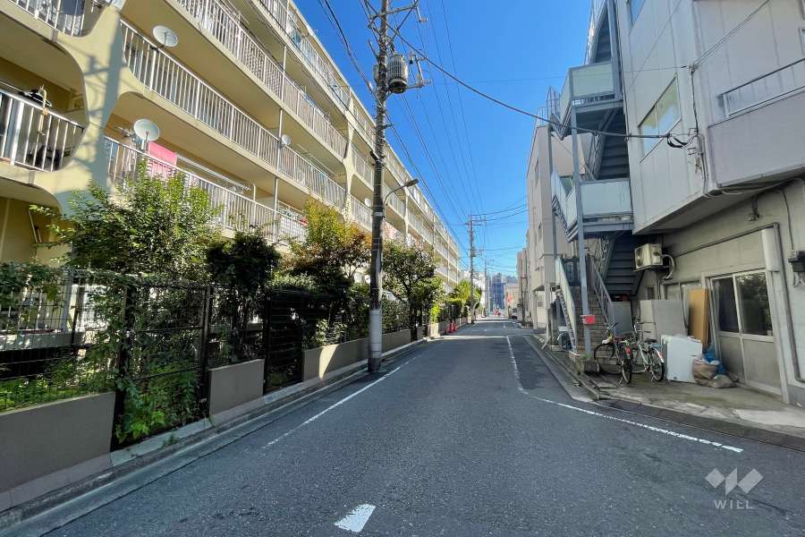 敷地の南側の前面道路（西側から）