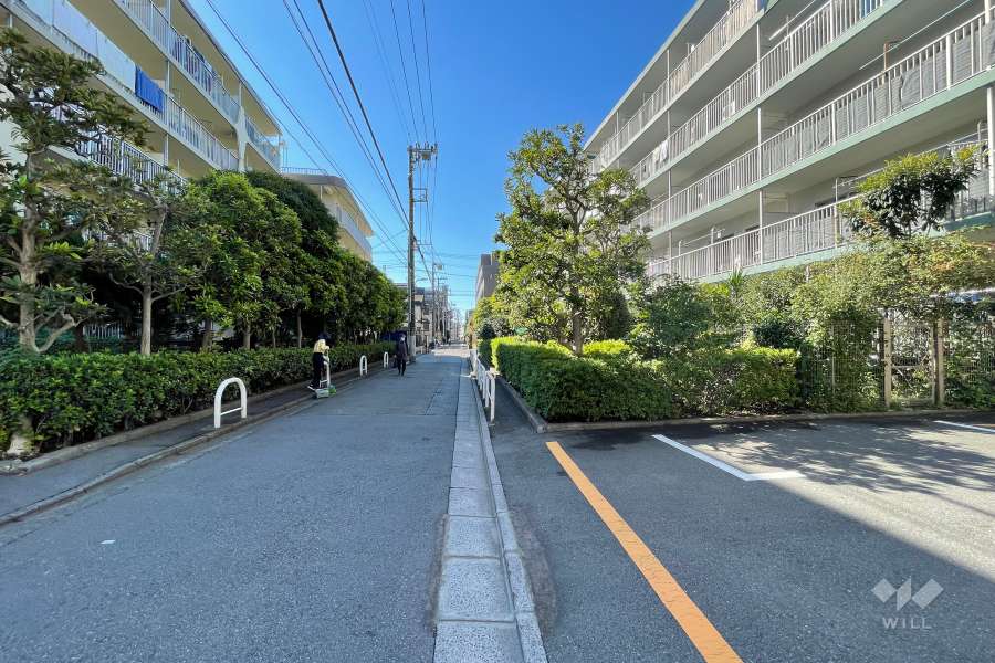 敷地東側の前面道路（北側から）