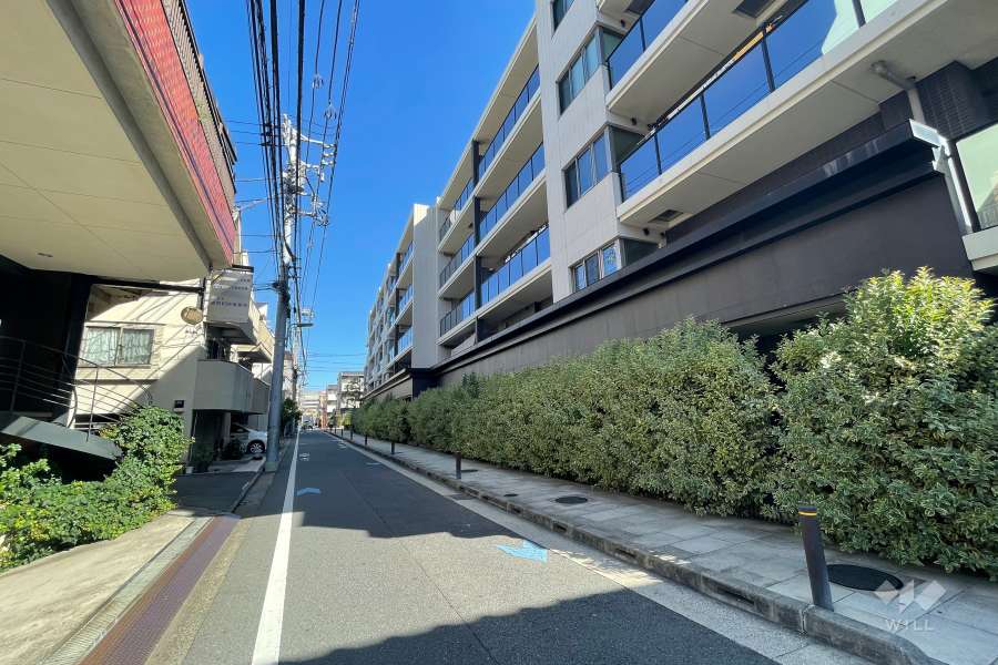 敷地の西側前面道路（南側から）